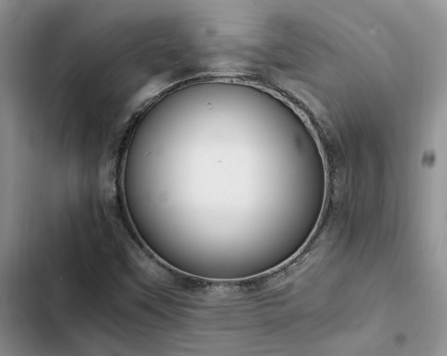 X0000102861451200808181430