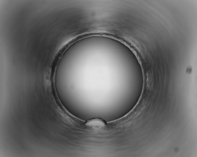 X0000102861452200808181430