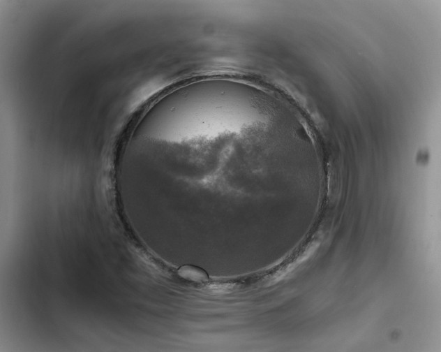 X0000102861453200808181430