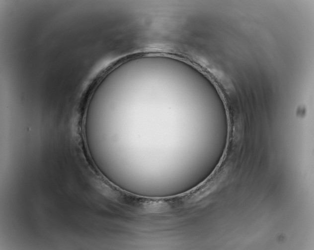 X0000102861454200808181430