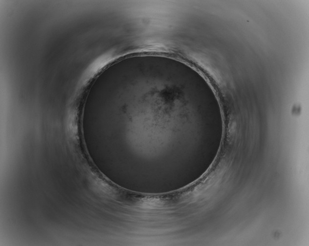 X0000102861455200808181430