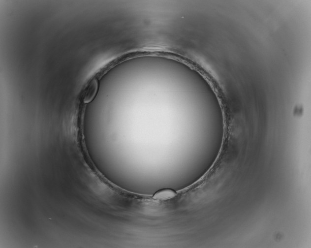 X0000102861456200808181430