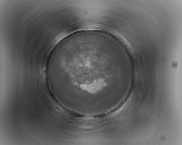 X0000102861457200808181430