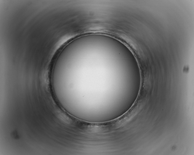 X0000102861458200808181430