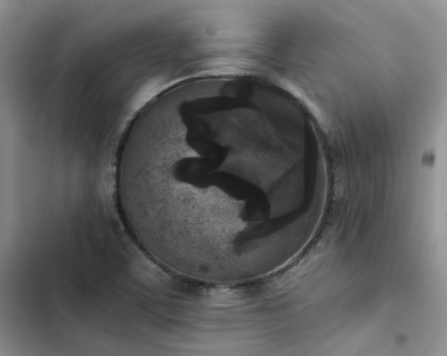 X0000102861459200808181430