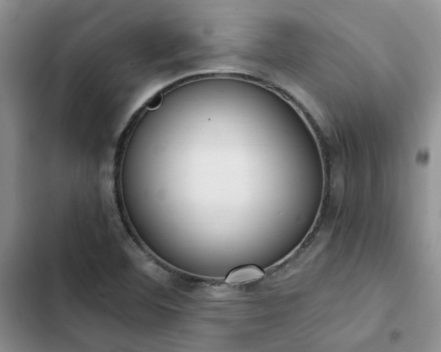 X0000102861460200808181430