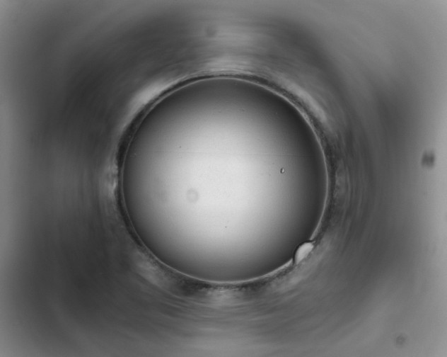 X0000102861461200808181430