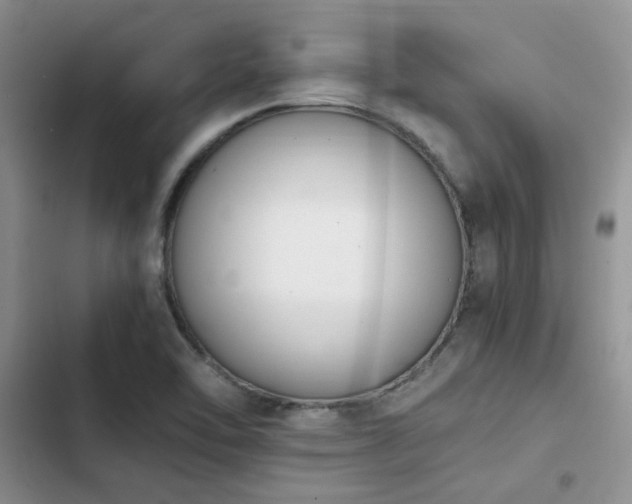 X0000102861462200808181430