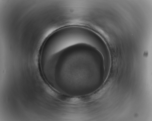 X0000102861463200808181430