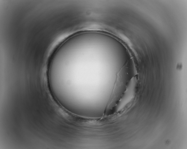 X0000102861464200808181430