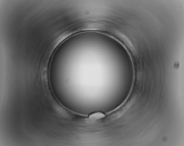 X0000102861465200808181430