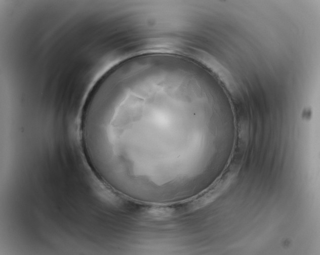 X0000102861466200808181430