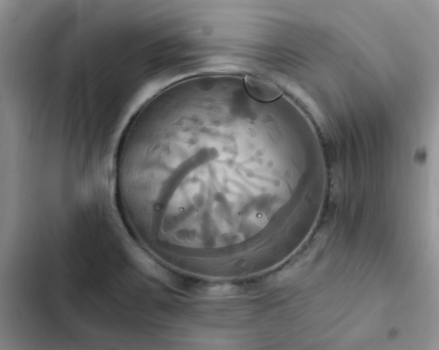 X0000102861467200808181430