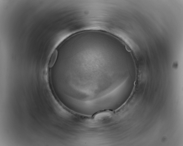 X0000102861468200808181430