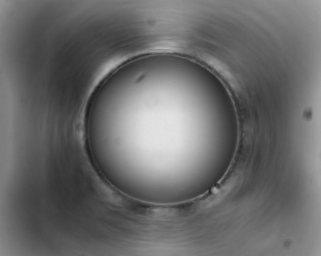 X0000102861469200808181430