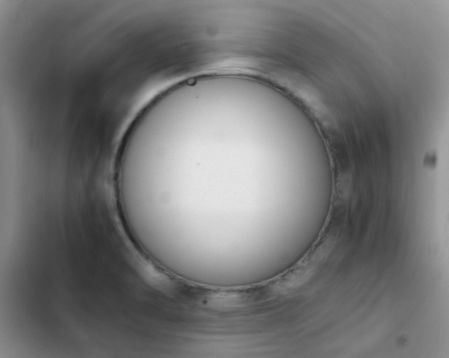 X0000102861470200808181430