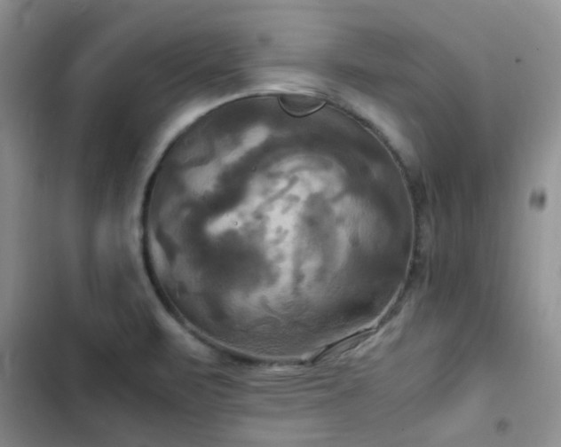 X0000102861471200808181430