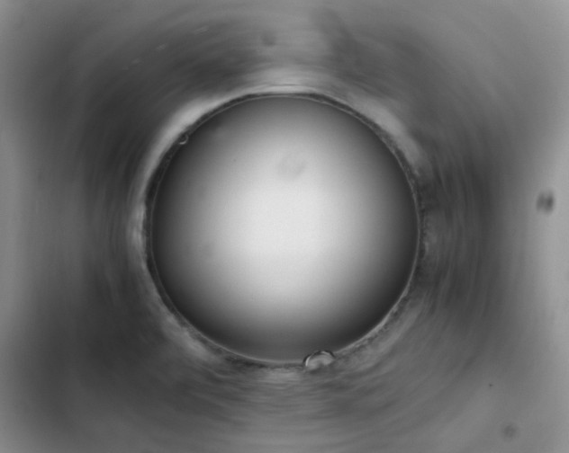 X0000102861472200808181430