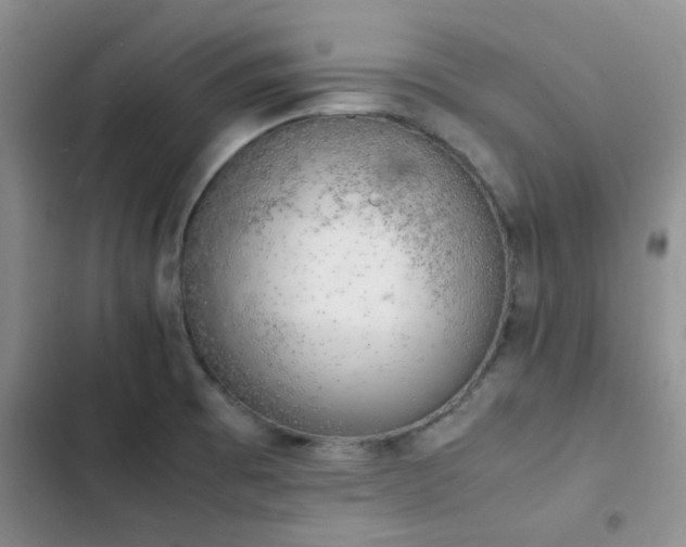 X0000102861473200808181430