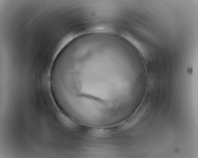 X0000102861474200808181430