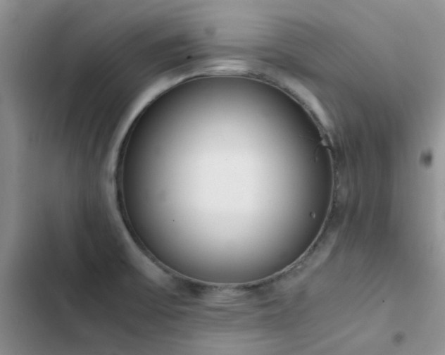 X0000102861475200808181430