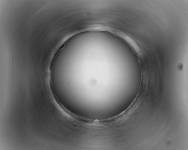 X0000102861476200808181430