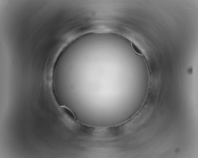 X0000102861477200808181429