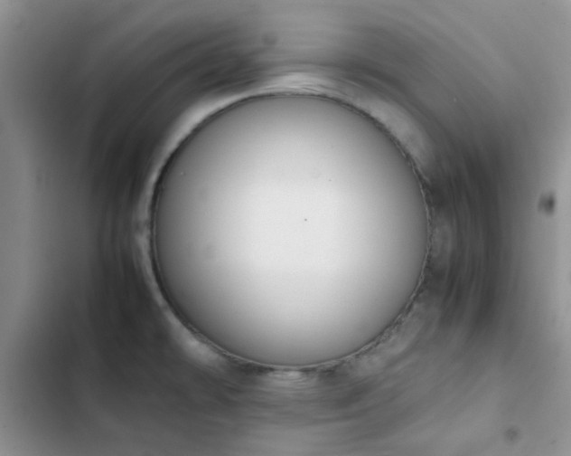 X0000102861478200808181429