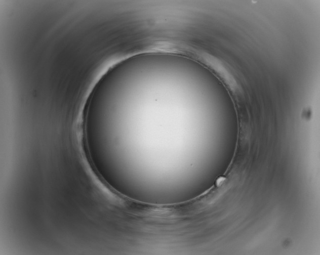 X0000102861479200808181429