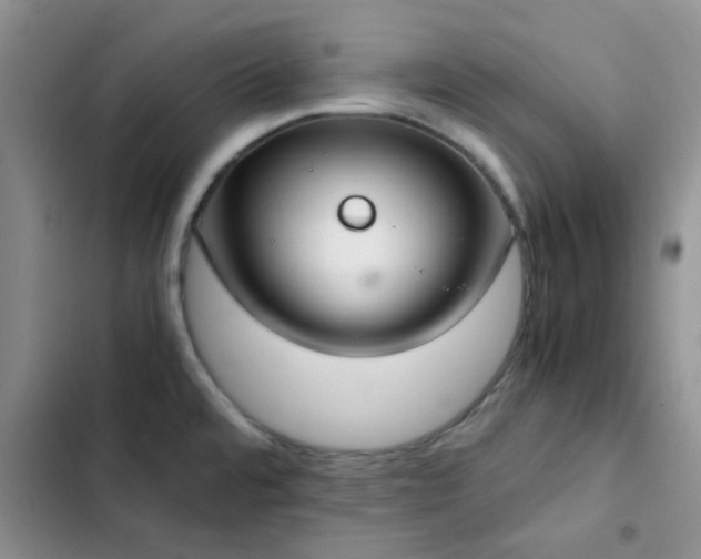 X0000102861480200808181429