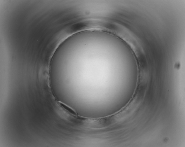 X0000102861481200808181429