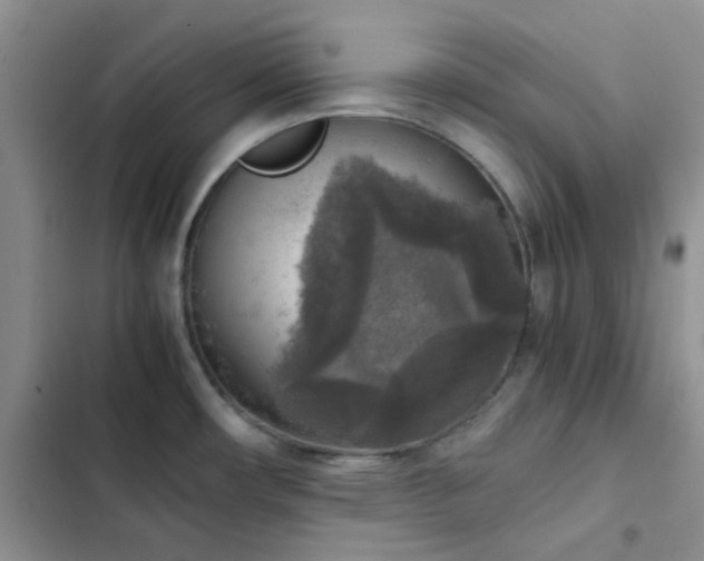 X0000102861482200808181429