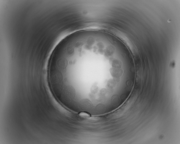 X0000102861483200808181429