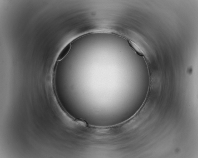 X0000102861484200808181429