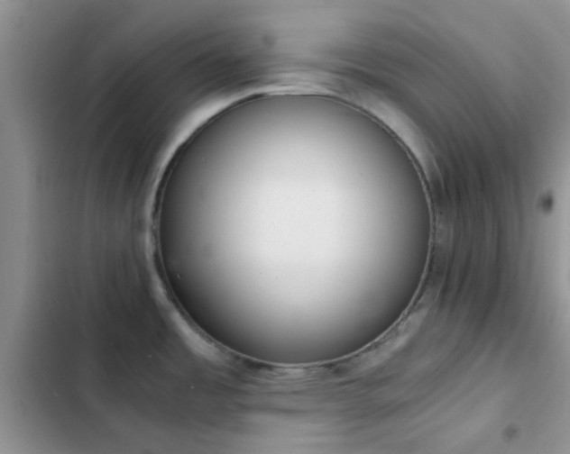 X0000102861485200808181429