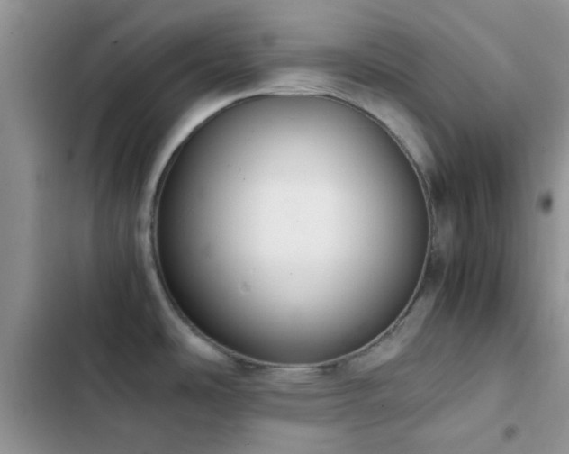 X0000102861486200808181429