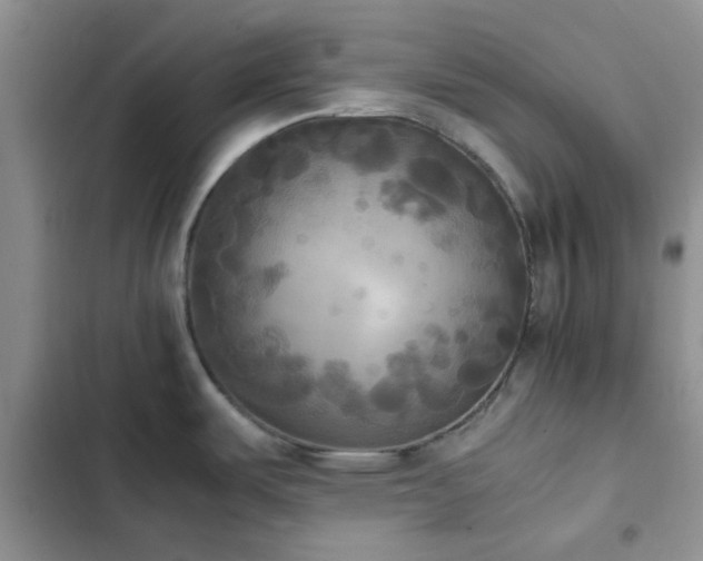 X0000102861487200808181429