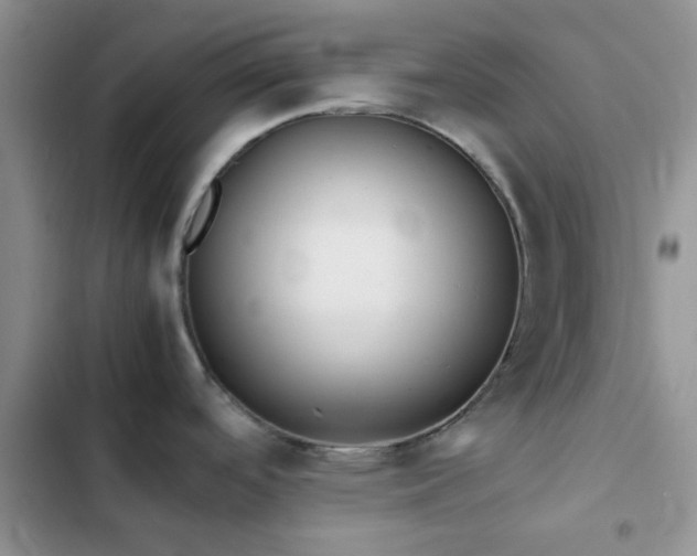 X0000102861488200808181429