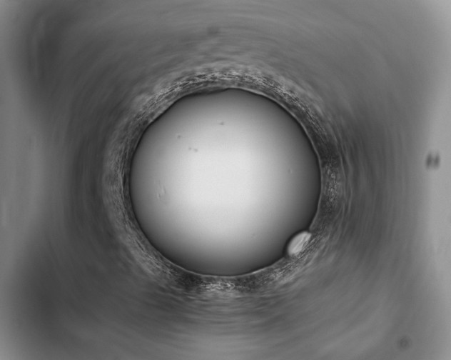 X0000102861489200808181429