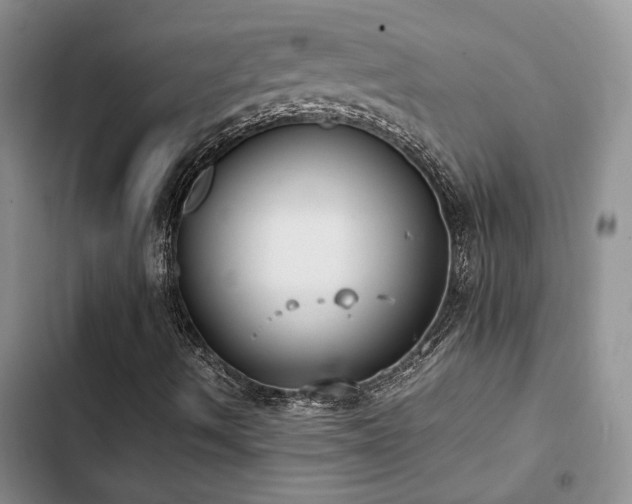 X0000102861490200808181429