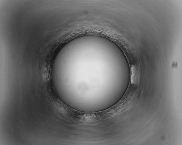 X0000102861491200808181429