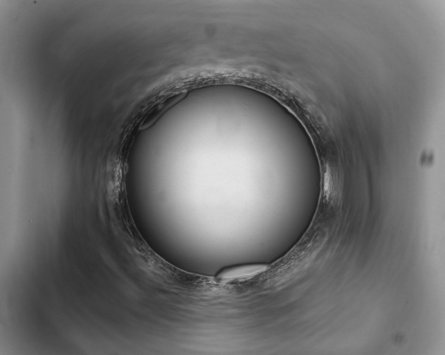 X0000102861492200808181429