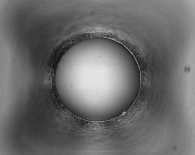 X0000102861493200808181429