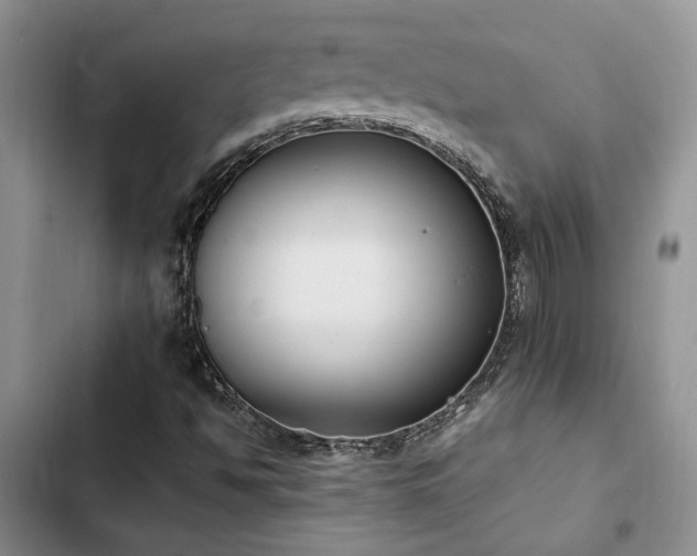 X0000102861494200808181429