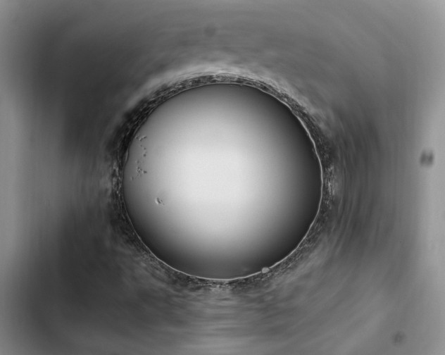 X0000102861495200808181429