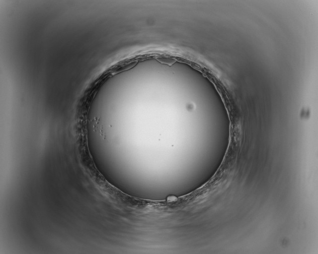 X0000102861496200808181429