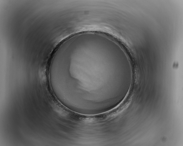 X0000102861497200808181429