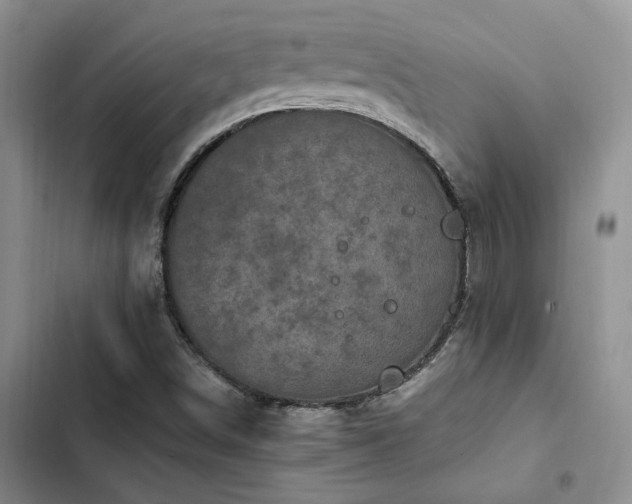 X0000102861498200808181429