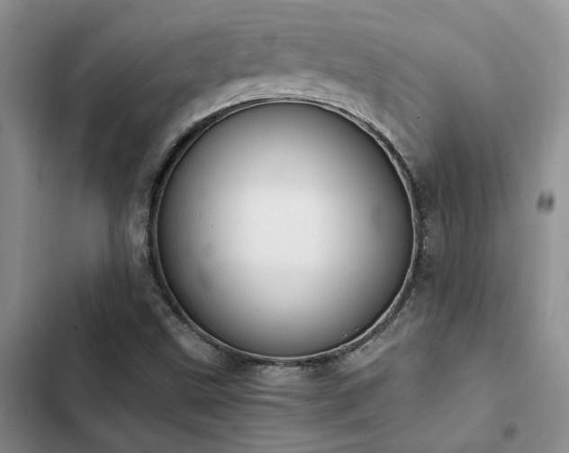 X0000102861499200808181429