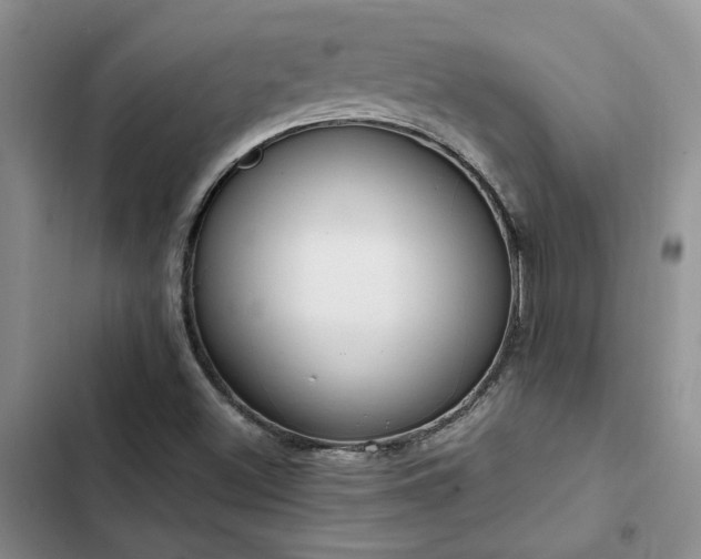 X0000102861500200808181429